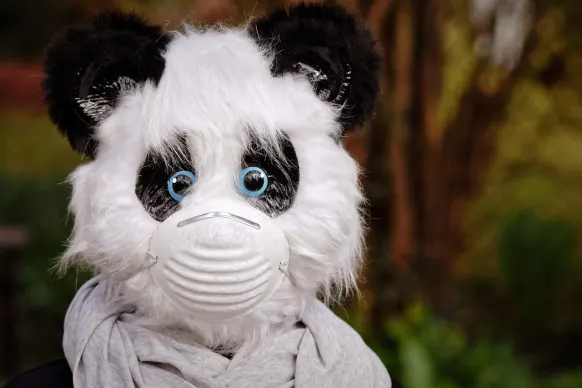 ローラーズ カジノ サポート